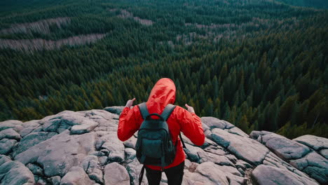 hiker on mountain summit