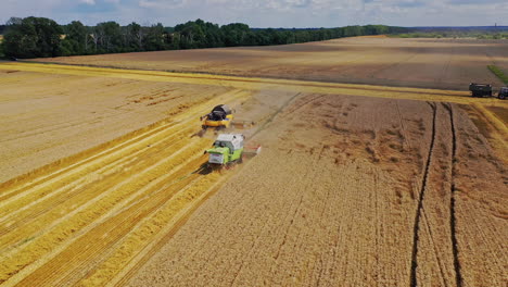 Harvesting fields skyline. Agriculture machine harvesting crop in fields
