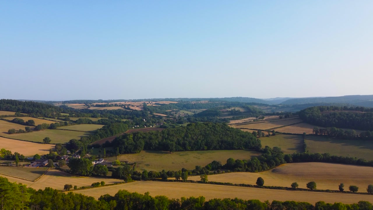 English Countryside Reveal as Drone View Rises from Dense Forest to Show Sprawling Natural Landscape with Trees and Fields in Rural Great Britain.