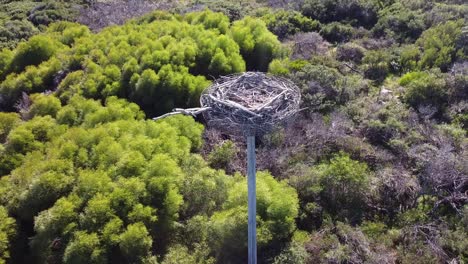 Pull-Back-Clip-Over-Empty-Artificial-Eagles-Nest-On-Near-Coastline,-Australia