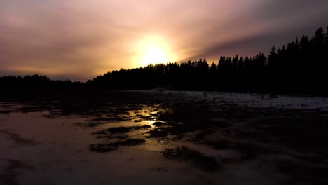 Tarde-En-El-Día-Cuando-El-Sol-Está-A-Punto-De-Moverse-Detrás-De-Los-Pinos