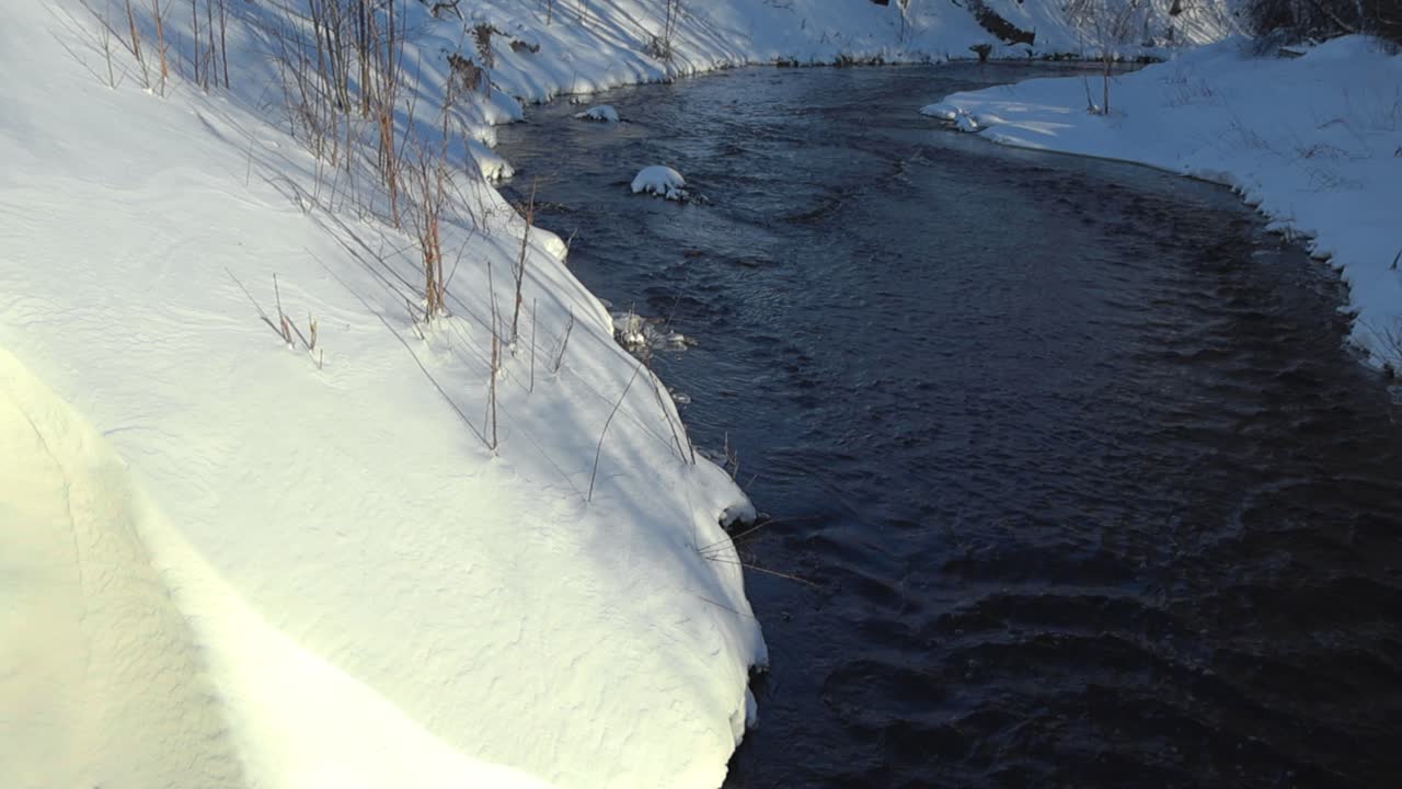 Dark cold blue and brown river water flowing in between white fluffy snow covered riverbanks in slow motion during winter sunny day. Tall grass or wheat is growing through the dense white thick snow.