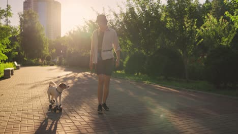 a woman walks with her jack russell dog on a skateboard in the park