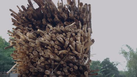 stacked wood logs