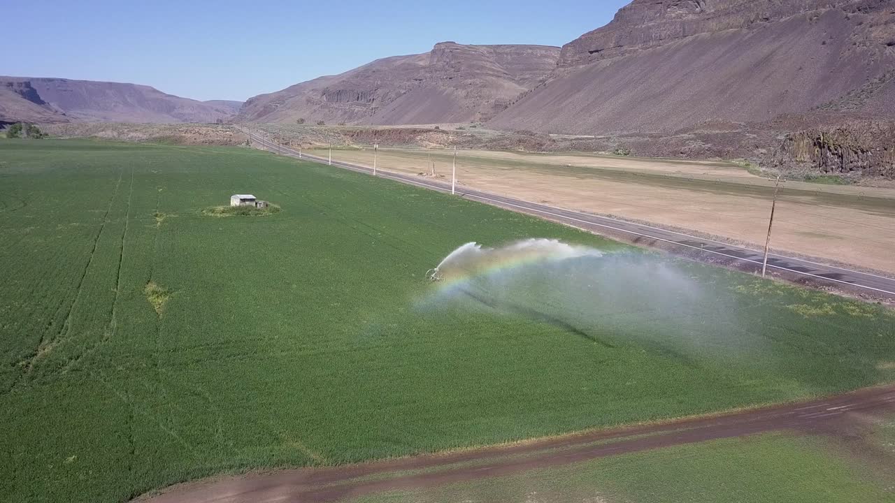 Un vivace arco arcobaleno segue lo spruzzo di un'irrigatrice a ruota in un campo coltivato.