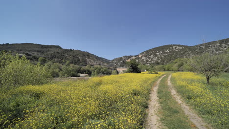 Camino-En-La-Naturaleza-A-Lo-Largo-Del-Río-Herault-Francia-Puente-Del-Diablo-Día-De-Primavera