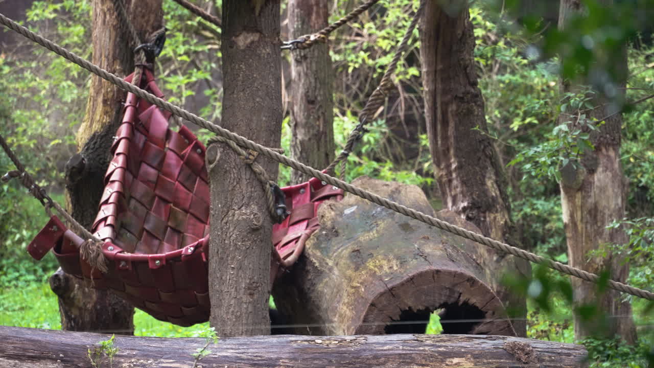 Monkey in zoo enjoying time on massive hammock and tree branches