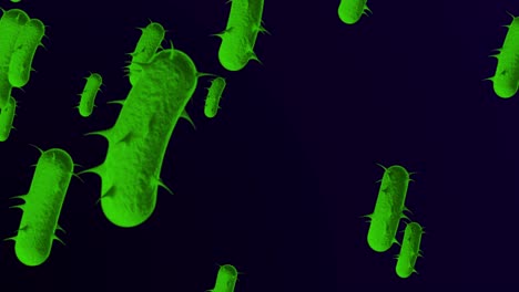 4k bacterias microscópicas antecedentes médicos - bucle, bacteria bucleable - flotación de bacterias e. coli - bacteria - animación en 3d de bacrerium. espirilla - bacteria de primer plano - color verde