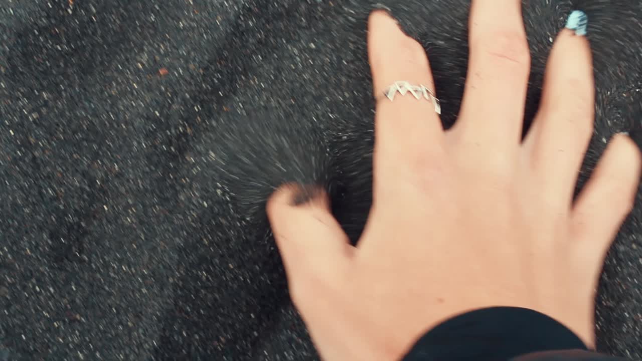 해변에서 아이슬란드에서 검은 용암 모래를 들고 여성 손, 풀 hd