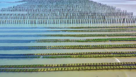 Aerial-over-French-mussel-farm-at-Utah-Beach-Normandy-France-3