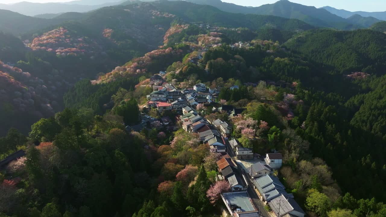 Aerial drone fly above Japanese Kyoto village in the mountains at Cherry blossom flowered spring, Mount Yoshino