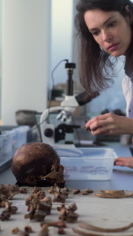 archaeologist examining ancient human remains in a lab