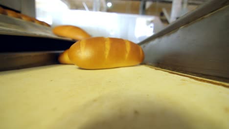 loaf of fresh bread on conveyor belt. bread production process on bakery