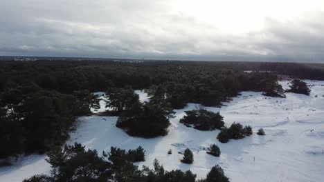 aérea sobre el bosque mientras nieva, paisaje de invierno
