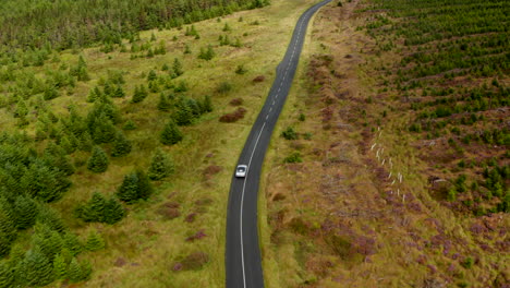 High-angle-view-of-sports-car-driving-on-road-in-wooded-landscape.-Forwards-tracking-of-single-vehicle.-Ireland