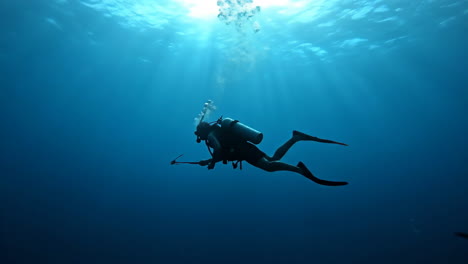 scuba diver underwater