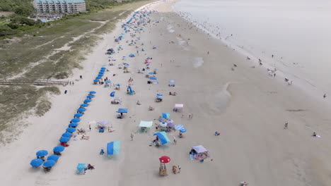 a high aerial shot of hilton head’s coastline stretching into the distance, with beach umbrellas lining the shore