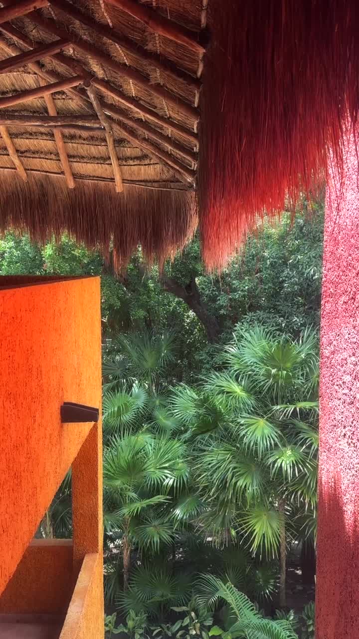 Vista del fogliame tropicale da sotto un tetto di paglia