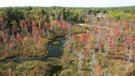 aerial high pan fly over footage overlooking lush tree foliage at windham, maine