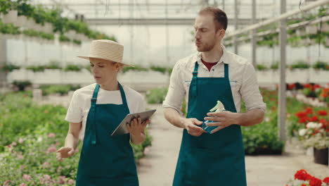 gardeners discussing plant care and operations in a greenhouse