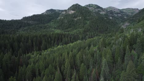 Paisaje-Boscoso-Del-Cañón-De-La-Bifurcación-Americana-Durante-El-Verano-En-Las-Montañas-Wasatch-De-Utah,-Estados-Unidos