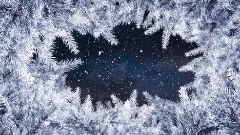 animation of christmas white fir tree frame over snow falling over black background