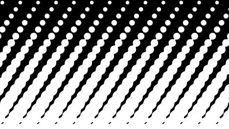 polka dot pattern animation. modern geometrical circle. loop animation.