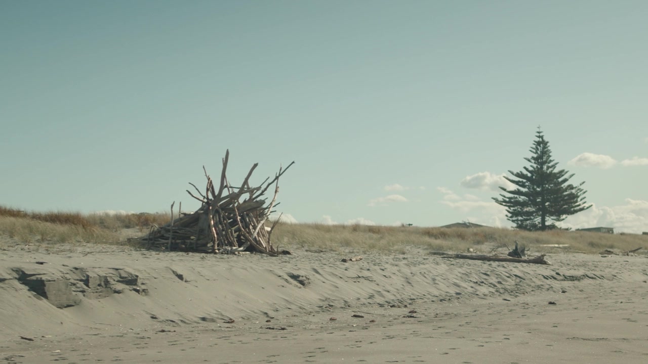 Piccola capanna di legno spiaggiato e un albero su una spiaggia sabbiosa deserta sotto un cielo senza nuvole.