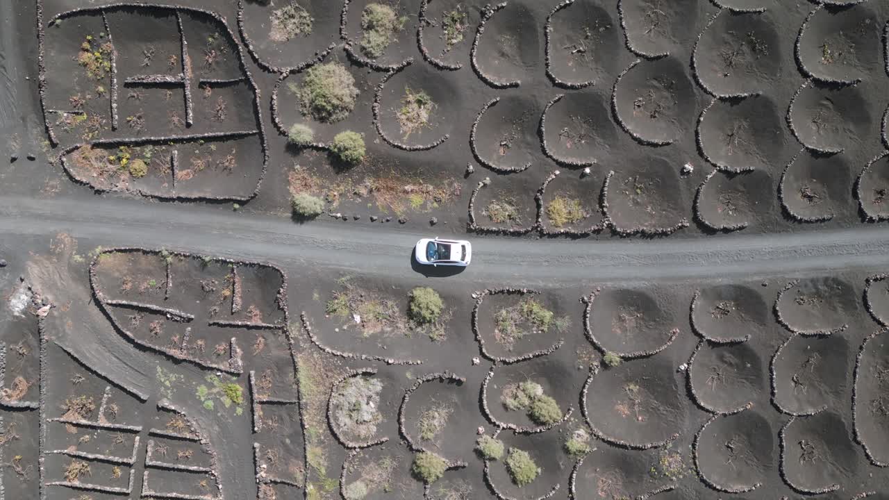 Unbelievable aerial view flight vertical bird's eye view drone
White car on black volcano ash road in Vineyard, Lanzarote Canary Islands Spain, sunny day 2023