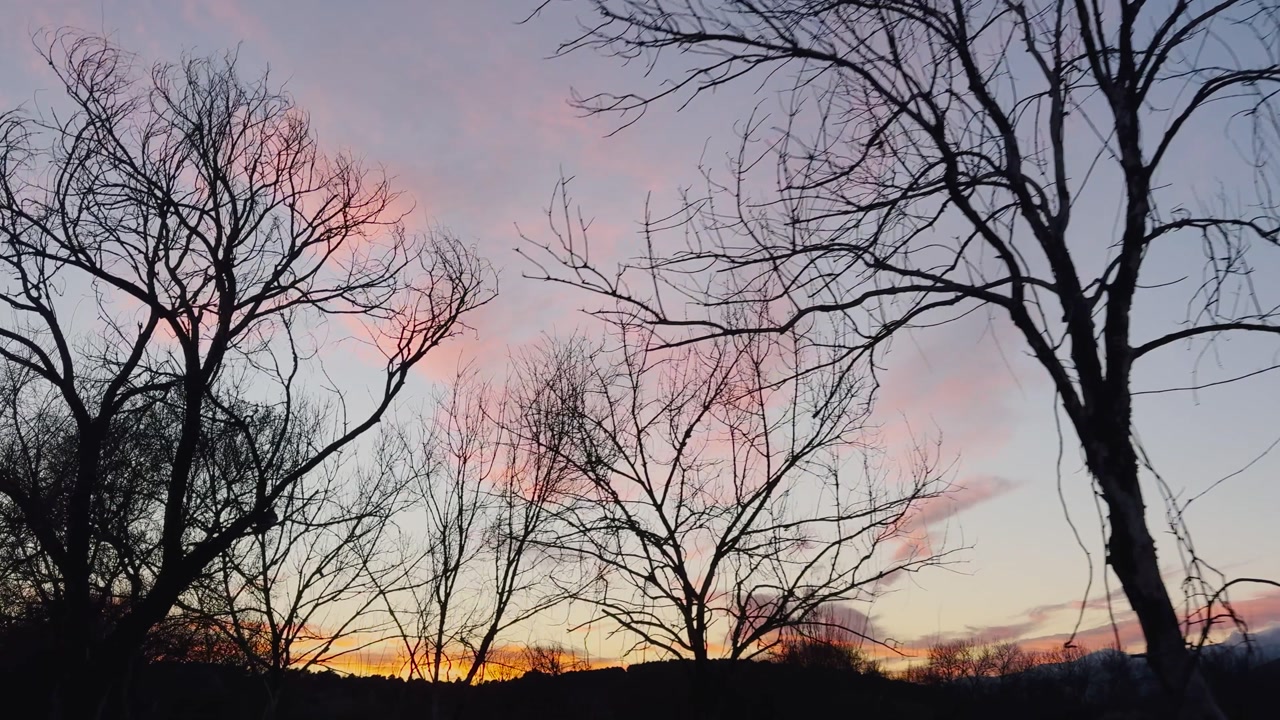 Moving shot of a beautiful sunset with bare trees silhouettes and vibrant colors reflecting on light clouds in the sky, creating a dramatic and atmospheric scene.