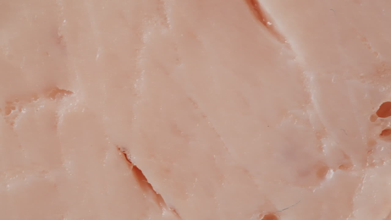Close-up view of sliced processed meat