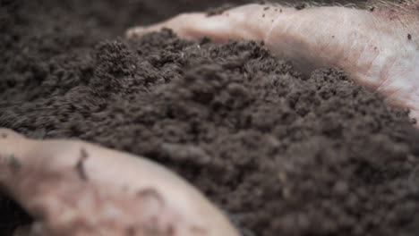 dirty handsin garden (slow and close up)