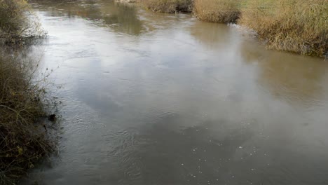 Der-Fluss-Don-Stromabwärts-Des-Fischsees-In-Voller-Flut