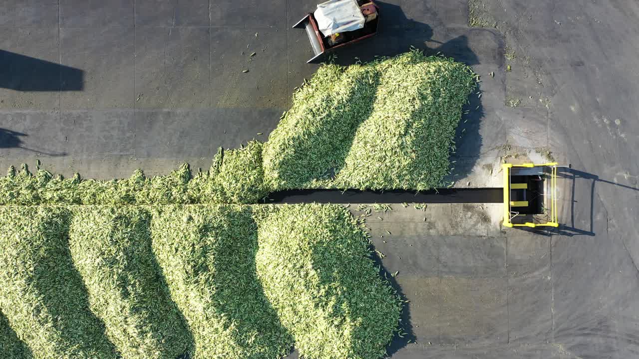 옥수수 수확 과 로딩 을 공중 에서 보는 모습