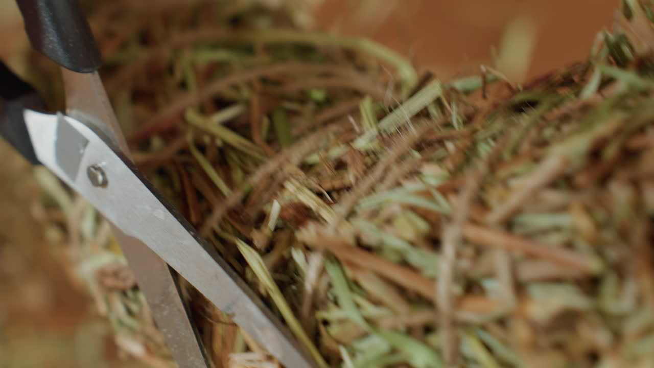 Closeup detail of straw wreath crafting process showing scissors cutting natural grass fibers tied with twine, artisan handmade eco decoration material prepared for rustic floral arrangement indoors