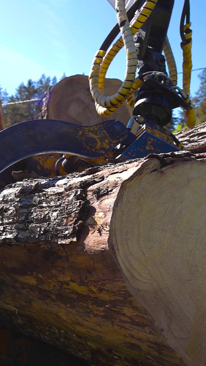 Detailed close up of a logging truck's hydraulic loader crane and grapple resting on a large pile of freshly cut tree trunks, highlighting the heavy machinery used in the timber industry
