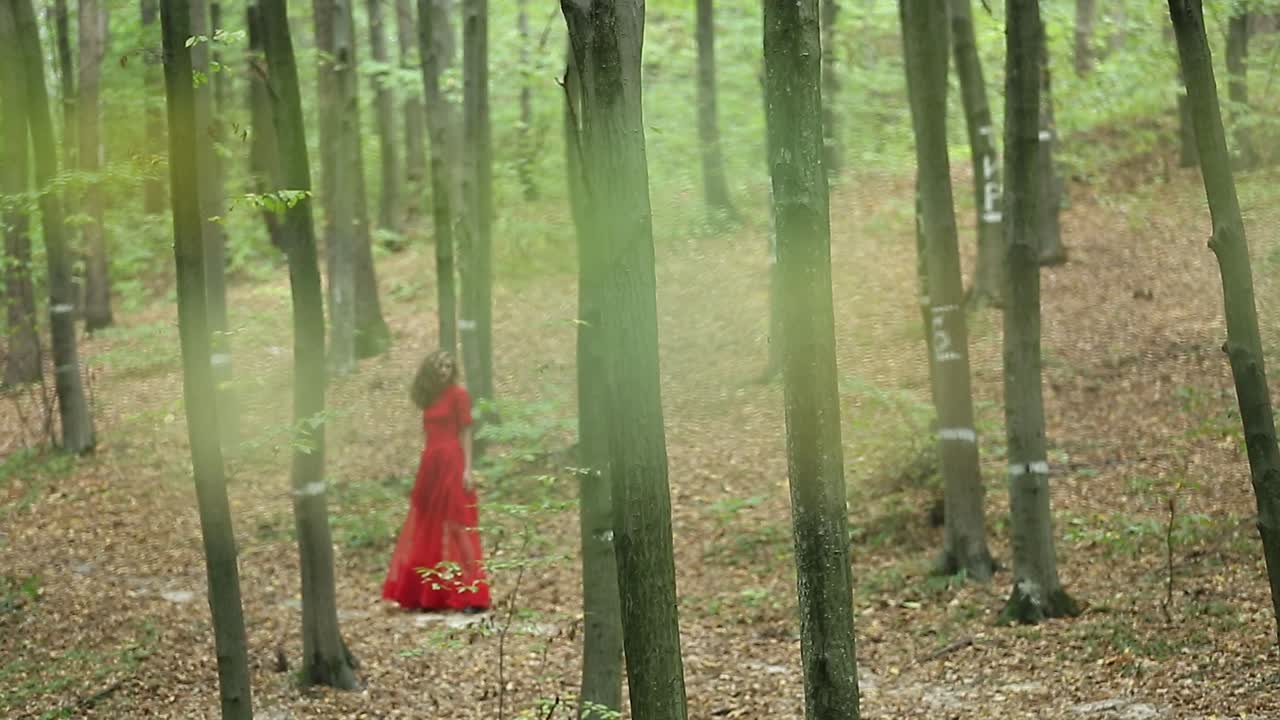 Romantic Stylish Girl In The Forest. Romantic stylish girl in long red dress in the forest