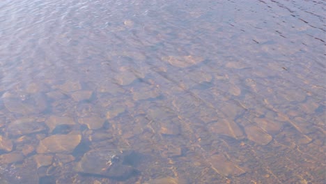 Close-up-of-clear-freshwater-of-Scottish-loch-lake-with-shimmering-water-in-highlands-of-Scotland-UK