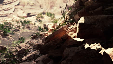 Cueva-En-Un-Volcán-Extinto-En-La-Isla