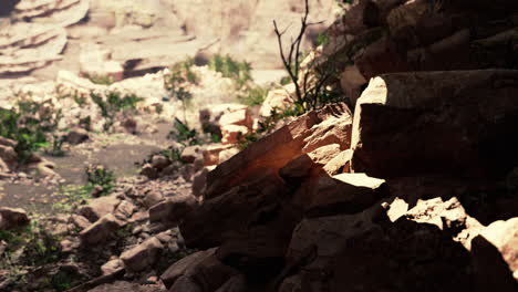 cave in an extinct volcano on the island