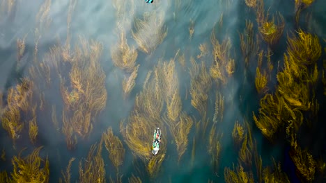 camo inflatable boat in kelp forest