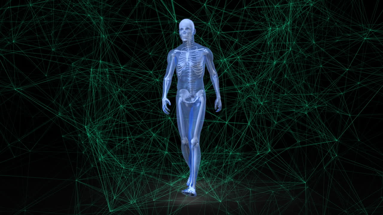 animación de la red de conexiones a través de humanos digitales