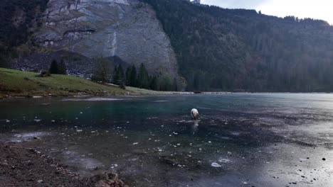 frozen lake zurich obersee cold winter, god around water surface outdoor switzerland