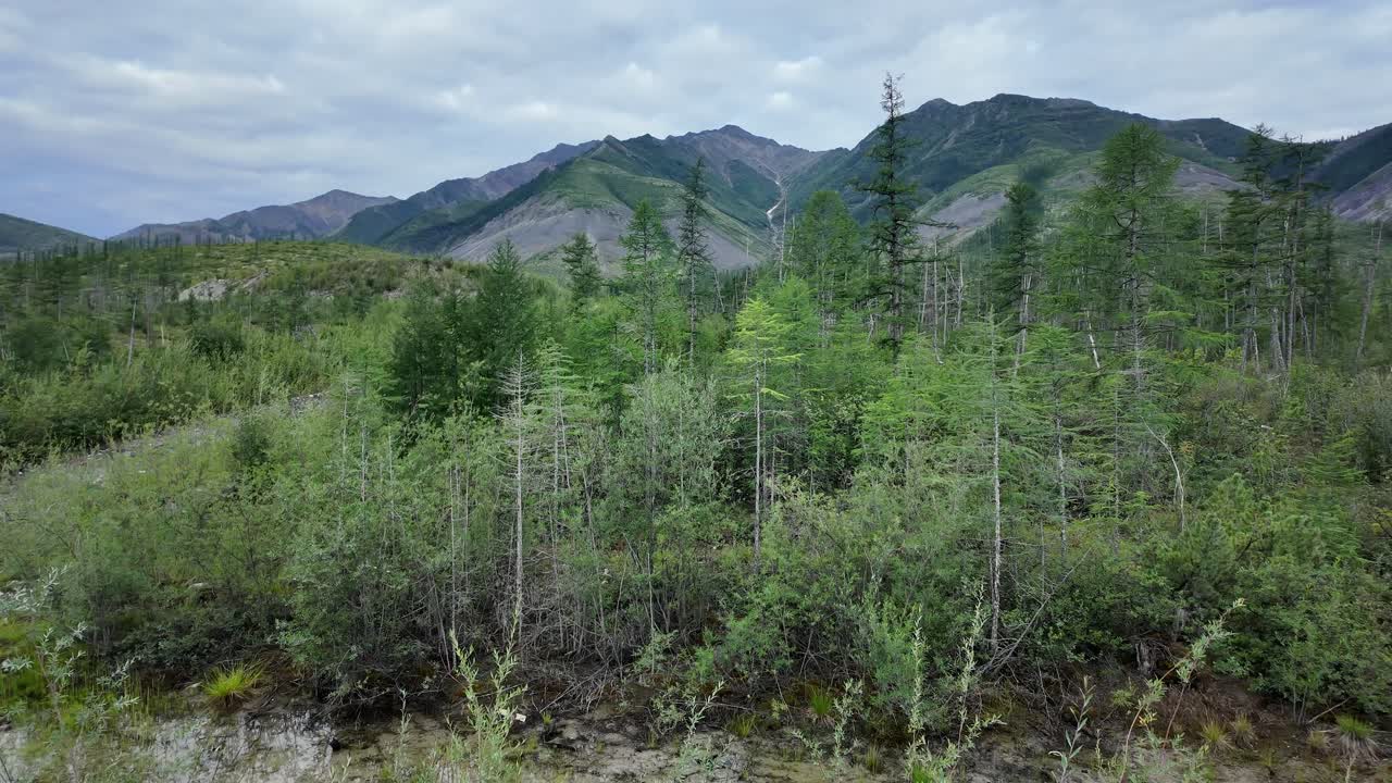 야쿠티아의 울창한 초록색과 웅장한 산맥을 가로질러 평온한 여행으로 여름에 이 지역의 놀라운 자연의 아름다움을 보여줍니다.