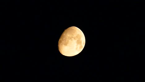 las fases de la luna - luna hinchada, luna hinchado de la noche, lunahinchada de tono amarillo, video en 4k,
