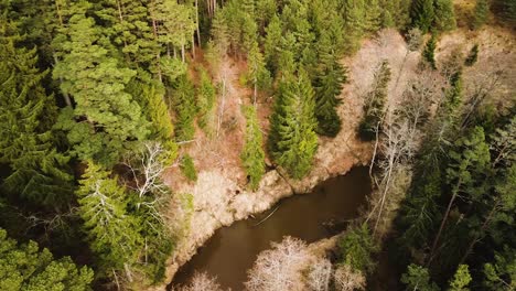 Luftaufnahme-Des-Riva-Flusstals-Aus-Der-Vogelperspektive-An-Einem-Sonnigen-Frühlingstag,-Dichter-Wald-Aus-Hohen-Immergrünen-Bäumen,-Unberührter,-Abgelegener-Ort,-Weitwinkel-Panorama-Drohnenaufnahme-In-Bewegung-Nach-Rechts