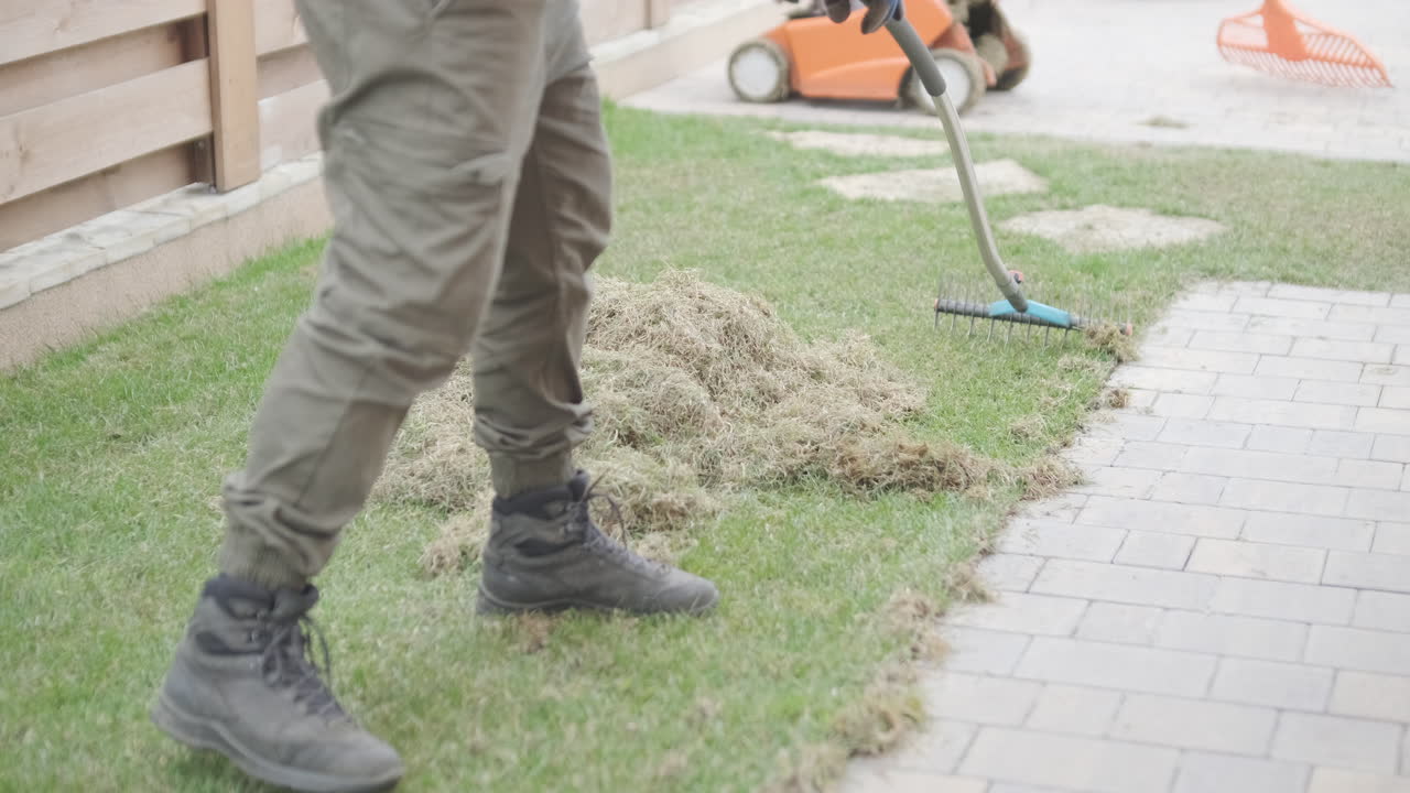 Person Raking Dead Grass from a Green Lawn