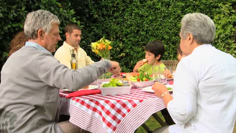 family lunch in the garden