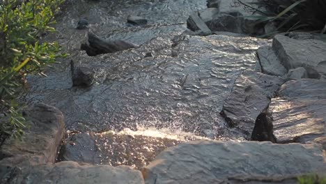 serene stream flowing over rocks