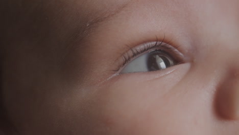 macro shot of a baby boy's eyes
